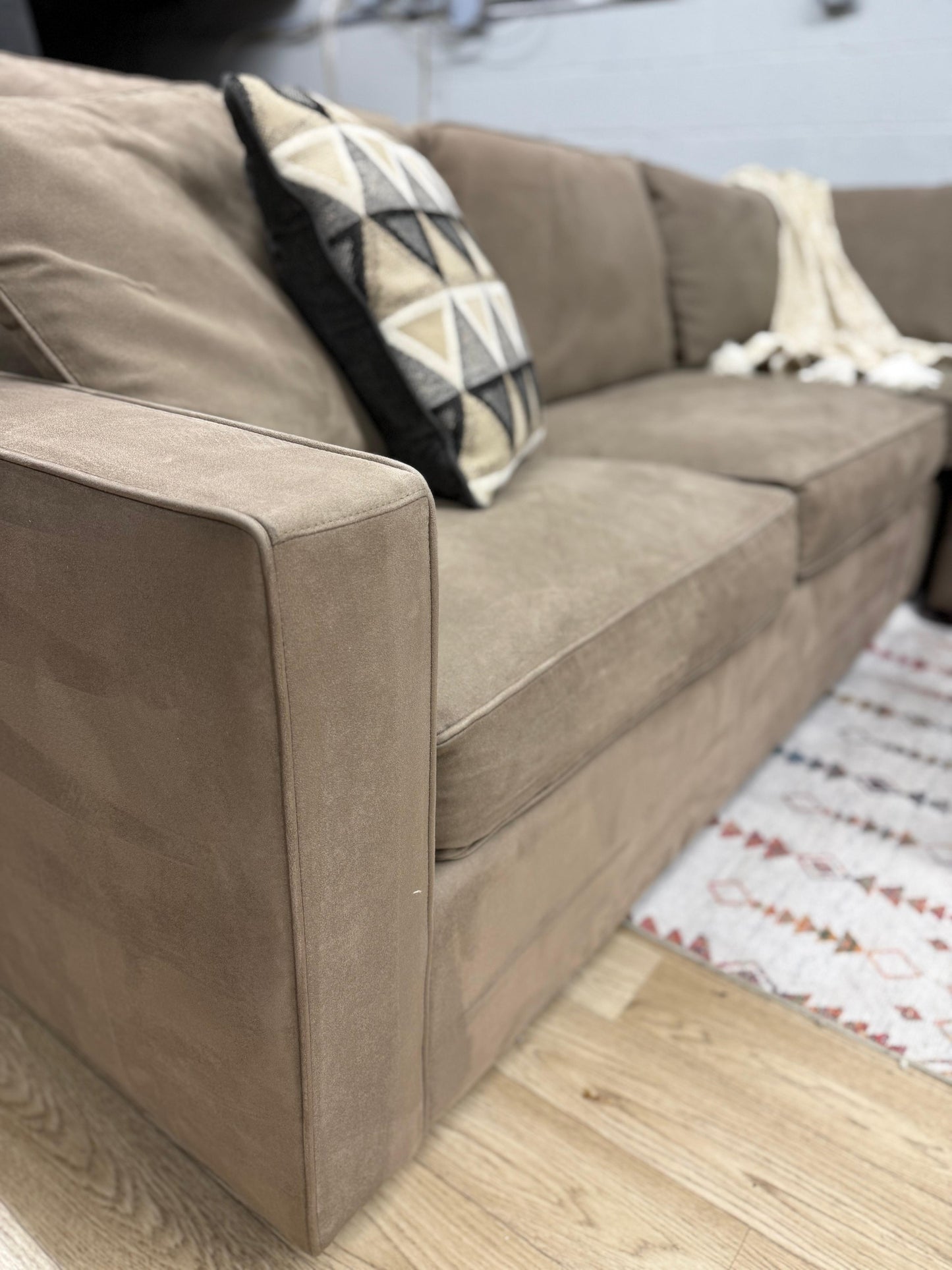 Room and Board Sectional w/ Queen Pullout Sleeper